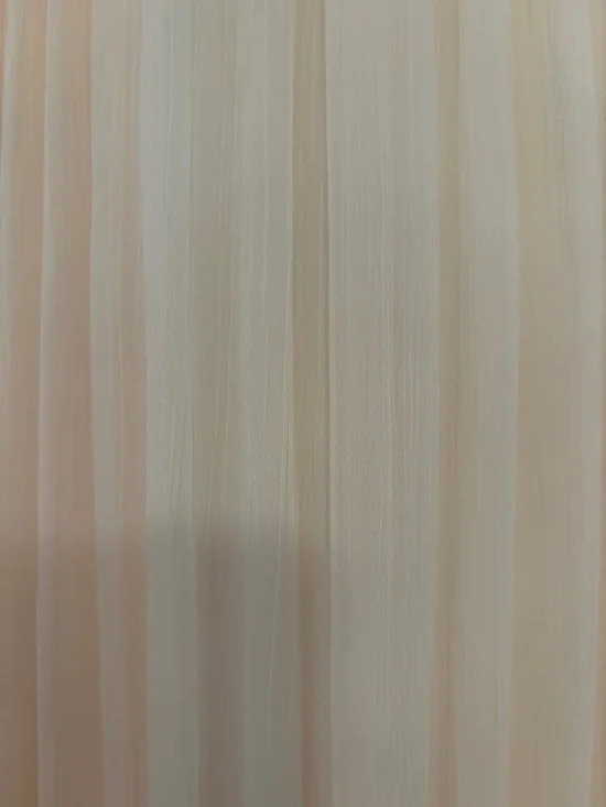 NWOT ZARA Cream Chiffon Pleated Maxi Skirt Medium - Picture 4 of 5